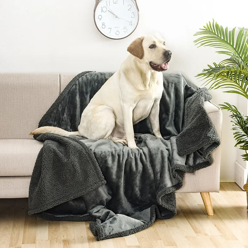 All-Weather Pet Throw