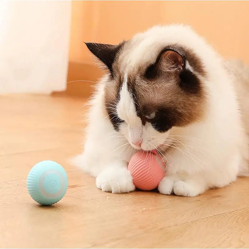 AutoMove Fun Balls for Pets