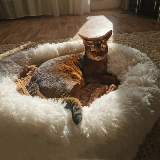 Ultra Plush Round Pet Bed: Comfort for Dogs & Cats