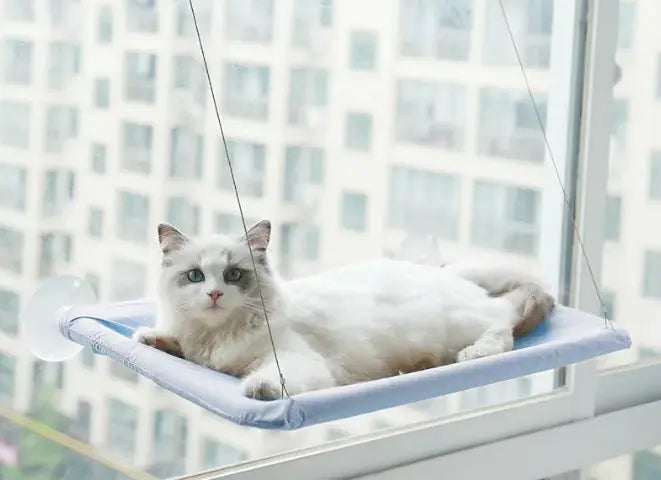 Cat Vista Window Hammock