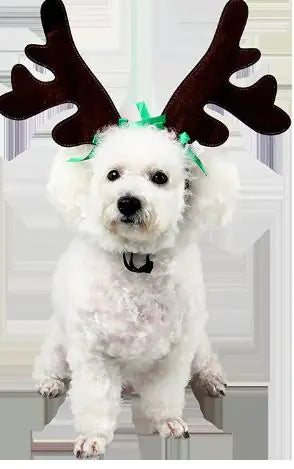 Festive Pet Headgear for Holidays