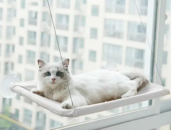 Cat Vista Window Hammock