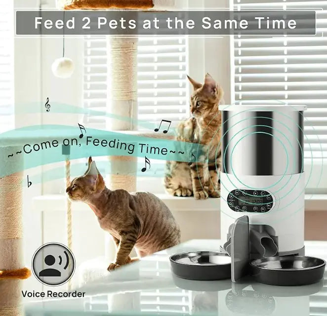 Chic AutoFeed Pet Station