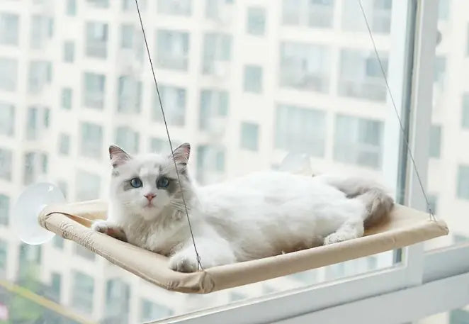 Cat Vista Window Hammock