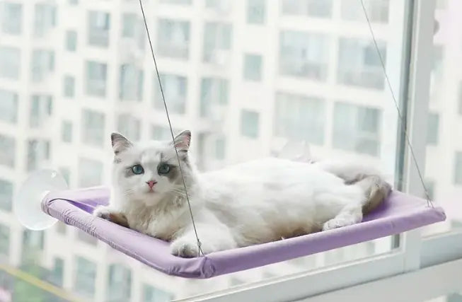 Cat Vista Window Hammock