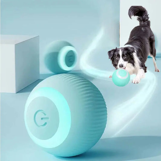 AutoMove Fun Balls for Pets