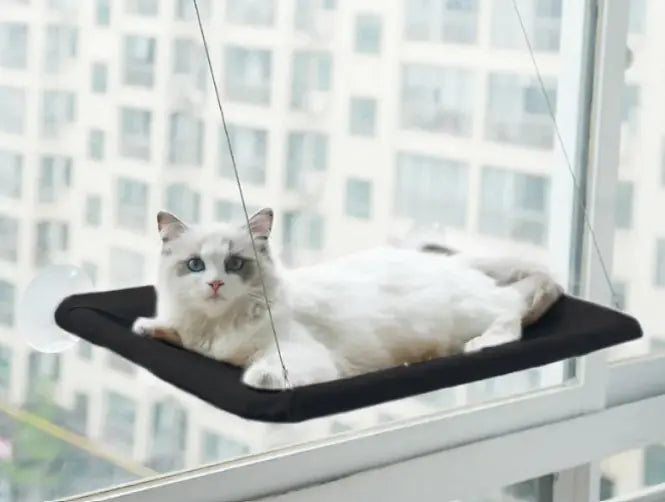 Cat Vista Window Hammock