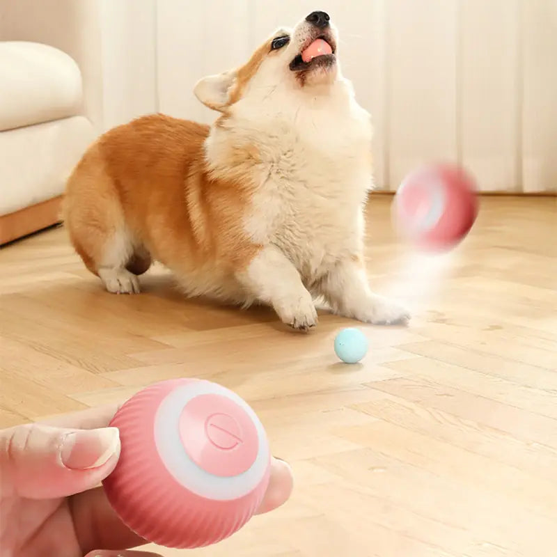 AutoMove Fun Balls for Pets